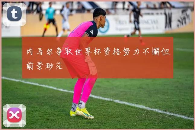 内马尔争取世界杯资格努力不懈但前景渺茫