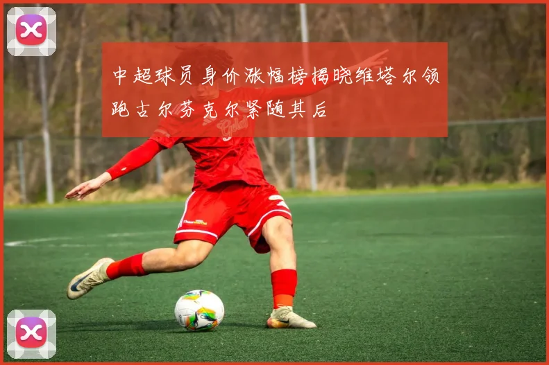 中超球员身价涨幅榜揭晓维塔尔领跑古尔芬克尔紧随其后