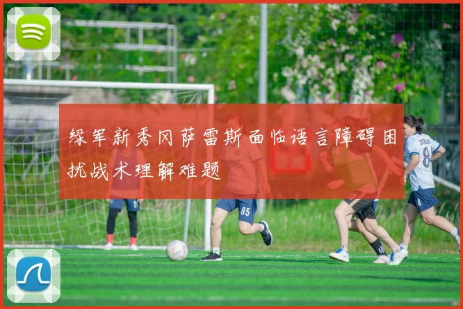 绿军新秀冈萨雷斯面临语言障碍困扰战术理解难题