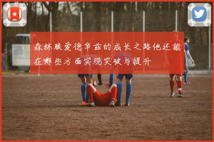 森林狼爱德华兹的成长之路他还能在哪些方面实现突破与提升